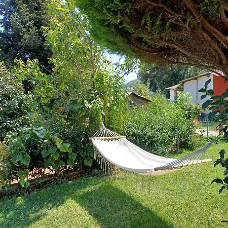 Efi's Áyios Dhimítrios